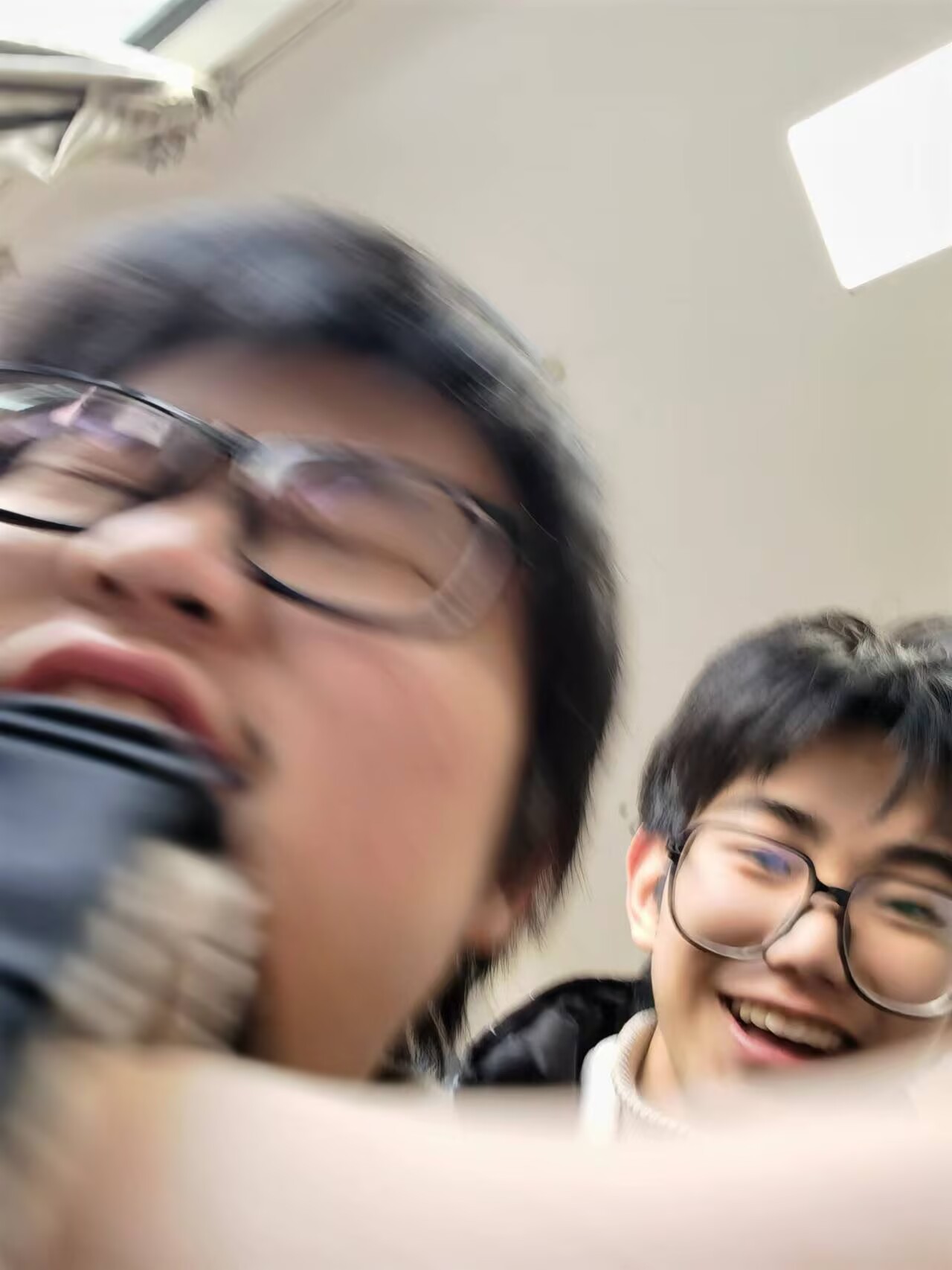 绵羊杂交育种项目成果，优质的绵羊群在草地上，毛色洁白健康